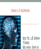 Bài giảng Sinh lý nơron - BS.TS. Lê Đình Tùng