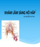 Bài giảng Khám lâm sàng hô hấp - Nguyễn Thị Ý Nhi
