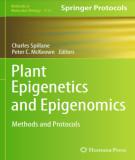 Ebook Plant epigenetics and epigenomics - Methods and protocols: Part 1