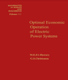 Ebook Optimal economic operation of electric power systems: Part 1