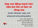 Bài giảng Hẹp van động mạch chủ: siêu âm tim cơ bản và nâng cao - PGS. TS. Phạm Nguyễn Vinh