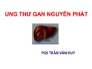 Bài giảng Ung thư gan nguyên phát - PGS. Trần Văn Huy
