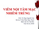 Bài giảng Viêm nội tâm mạc nhiễm trùng - PGS. TS. Phạm Nguyễn Vinh (79 trang)