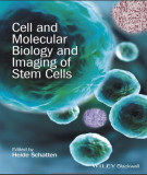 Ebook Cell and molecular biology and imaging of stem cells: Part 1