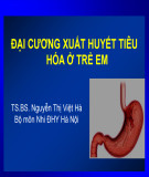 Bài giảng Đại cương xuất huyết tiêu hóa ở trẻ em - TS.BS. Nguyễn Thị Việt Hà