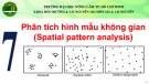 Bài giảng Phân tích không gian I (Basic Spatial Analysis): Bài 7 - ThS. Nguyễn Duy Liêm