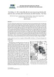Tuổi đồng vị U–Pb và đặc điểm địa hóa của zircon trong đá biến chất nhiệt độ siêu cao thuộc phức hệ Kannack, địa khối Kontum, Việt Nam