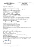 Đề thi giữa học kì 1 môn Vật lý lớp 9 năm 2023-2024 - Trường THCS-THPT ĐăkLua, Đồng Nai