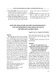 Bước đầu đánh giá kết quả điều trị Gefitinib bước 1 ung thư phổi không tế bào nhỏ di căn não có đột biến EGFR tại Bệnh viện K