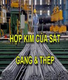 Tài liệu môn Khoa học tự nhiên lớp 9 - Chủ đề: Hợp kim gang và thép