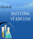 Tài liệu môn Khoa học tự nhiên lớp 9 - Chủ đề: Kim loại và phi kim