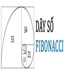 Các đa thức dạng Fibonacci