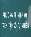 Phương trình hàm trên N (24 trang)