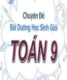 Chuyên đề bồi dưỡng học sinh giỏi: Ứng dụng của định lí Lagrang