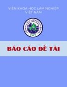 Báo cáo tổng kết đề tài (2002-2003): Xây dựng quy phạm kỹ thuật bón phân cho trồng rừng sản xuất 4 loài cây chủ yếu phục vụ Chương trình 5 triệu ha rừng là: Keo lai, Bạch đàn urophylla, Thông nhựa và Dầu nước