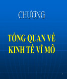 Bài giảng Kinh tế vĩ mô: Chương 1 - Th.S Ngô Hoàng Thảo Trang