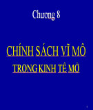 Bài giảng Kinh tế vĩ mô: Chương 8 - Th.S Ngô Hoàng Thảo Trang