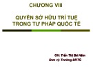 Bài giảng Tư pháp quốc tế: Chương 8 - ThS. Trần Thị Bé Năm