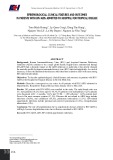 Đặc điểm dịch tễ, lâm sàng và kết cục ở bệnh nhân HIV/AIDS nhập viện tại Bệnh viện Bệnh Nhiệt Đới thành phố Hồ Chí Minh