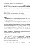 Profiles of 24-hour ambulatory blood pressure measurement and their association with cardiovascular risk factors in elderly high-risk hypertensive patients