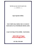 Luận văn Thạc sĩ Tài chính ngân hàng: Phát triển hoạt động cho vay khách hàng bán lẻ tại Vietinbank Thăng Long