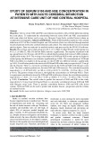 Study of serum S100 and NSE concentration in patients with acute cerebral infarction at intensive care unit of Hue Central Hospital