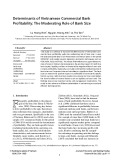 Determinants of Vietnamese Commercial Bank Profitability: The Moderating Role of Bank Size