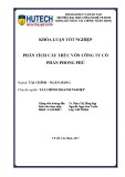 Khóa luận tốt nghiệp Tài chính ngân hàng: Phân tích cấu trúc vốn Công ty cổ phần Phong Phú