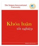 Khóa luận tốt nghiệp ngành Quản trị kinh doanh: Phân tích thực trạng hoạt động Marketing Mix của Công ty Fansviet