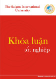 Khóa luận tốt nghiệp ngành Kinh tế đối ngoại: Những giải pháp hoàn thiện hoạt động giao nhận hàng hóa nhập khẩu bằng đường biển của Công ty TNHH TM&DV Đông A