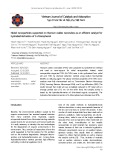 Nickel nanoparticles supported on titanium oxides nanotubes as an efficient catalyst for hydrodechlorination of 3-chlorophenol