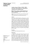 Additive genetic effects of RNF4, RBP4, and IGF2 polymorphisms on litter size in Landrace and Yorkshire sows