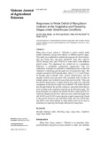 Responses to water deficit of mung bean cultivars at the vegetative and flowering stages under greenhouse conditions