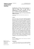 Identification of Three Toxocara species, T. canis in dogs, and T. cati and T. malaysiensis in cats, in Vietnam by PCRRFLP analysis and DNA Sequencing