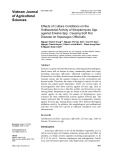 Effects of culture conditions on the antibacterial activity of Streptomyces spp. against Erwinia spp. causing soft rot disease on asparagus officinalis