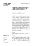 Establishment of reciprocal micrografting of tomato (Solanum lycopersicum L.) and eggplant (Solanum melongena L.)