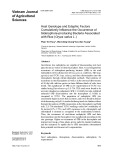 Host genotype and edaphic factors cumulatively influence the occurrence of siderophore-producing bacteria associated with rice (Oryza sativa L.)