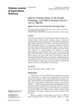 Effects of salinity stress on the growth, physiology, and yield of soybean (Glycine max (L.) Merrill)