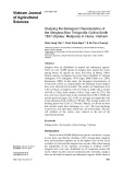 Studying the biological characteristics of the stingless bee Tetrigonilla collina Smith 1857 (Apidae: Melipona) in Hanoi, Vietnam