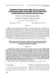 Ảnh hưởng của sSnbiotics chứa vi khuẩn Pediococcus pentosaceus và Fructooligosaccharide lên sinh trưởng, hiệu quả sử dụng thức ăn và enzyme tiêu hóa của cá rô phi vằn (Oreochromis niloticus)