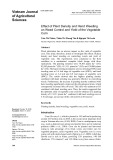 Effect of plant density and hand weeding on weed control and yield of the vegetable corn