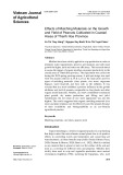 Effects of mulching materials on the growth and yield of peanuts cultivated in coastal areas of Thanh Hoa province