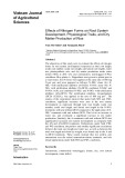 Effects of nitrogen forms on root system development, physiological traits, and dry matter production of rice