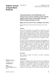 Characterization and identification of a streptomyces strain with biocontrol activity against Aeromonas hydrophila causing haemorrhage disease in fish