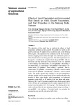 Effects of land preparation and iron coated rice seeds on yield, growth parameters, and soil properties in the Mekong Delta, Vietnam