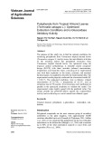 Polyphenols from tropical almond leaves (Terminalia catappa L.): Optimized extraction conditions and α-glucosidase inhibitory activity