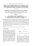 Burning and infrared emission characteristics of the pyrotechnic composition based on magnesium-teflon-viton with iron (III) oxide nanoparticle and graphene