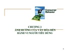 Bài giảng Hành vi người tiêu dùng: Chương 2 - Ảnh hưởng của văn hóa đến hành vi người tiêu dùng