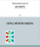 Bài giảng Marketing căn bản: Chương 3 - Môi trường marketing