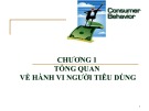 Bài giảng Hành vi người tiêu dùng: Chương 1 - Tổng quan về hành vi người tiêu dùng